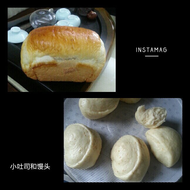 汉堡胚（中种法）