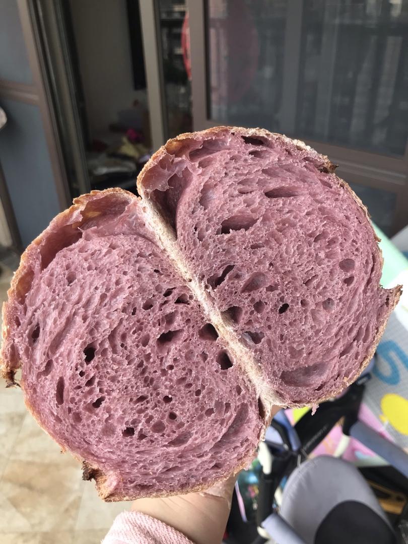 欧包切面组织气孔