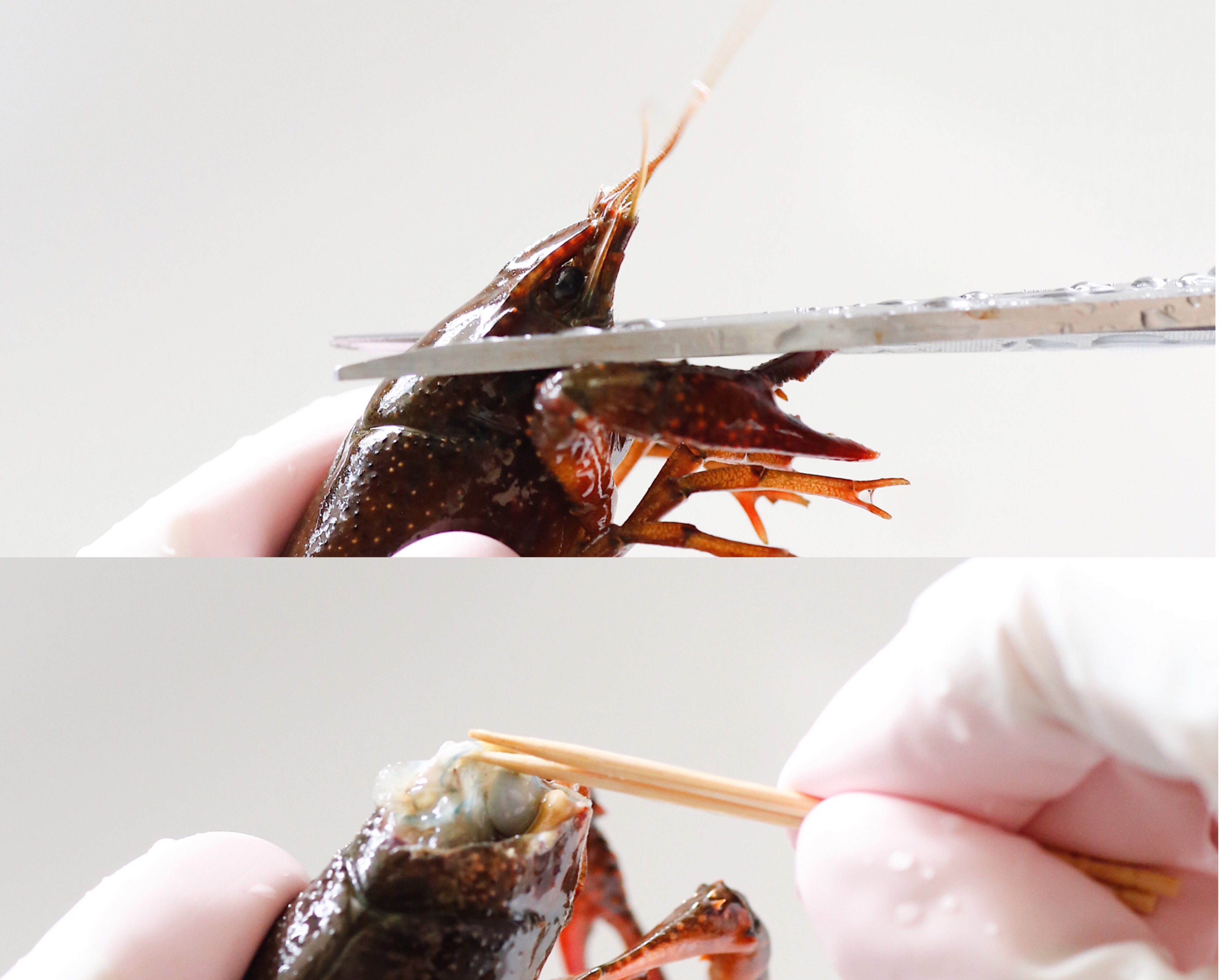 超干净又入味的麻辣小龙虾（附清洗方法）的做法 步骤2