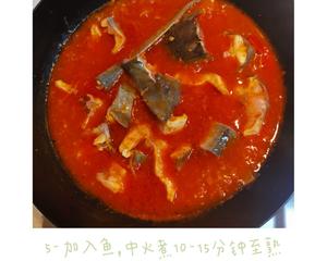贵州凯里酸汤鱼（家庭快手简易改良版）的做法 步骤9