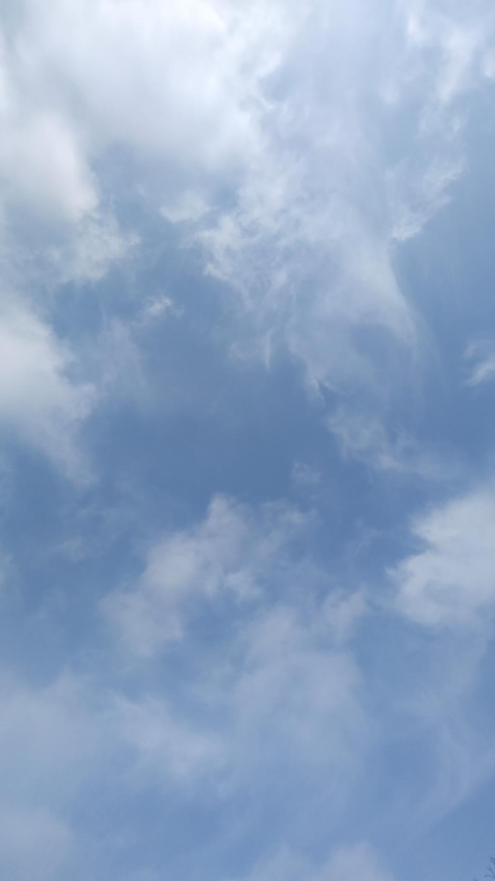 手机用户1235_8194