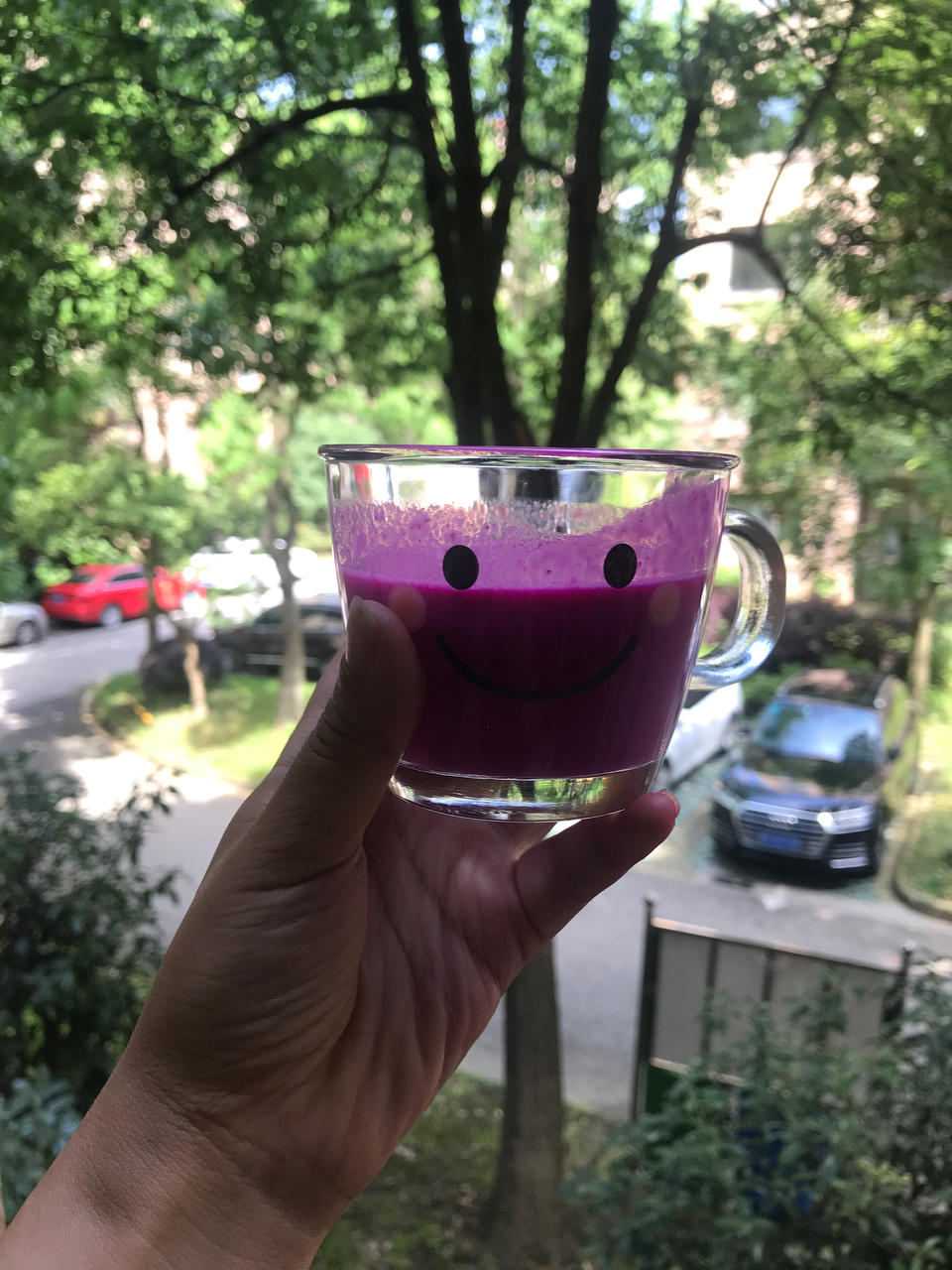 红心火龙果奶昔