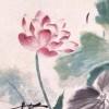 俞清清