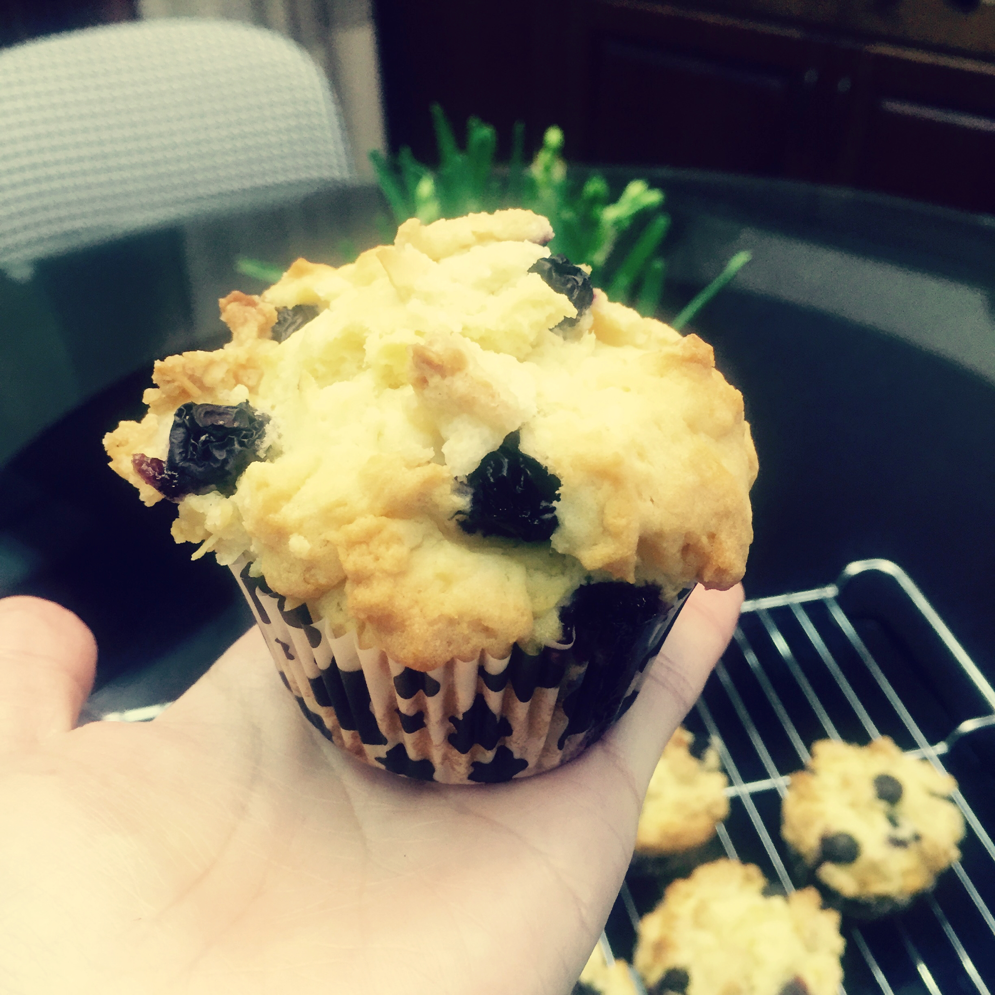 PH大师的金宝顶蓝莓马芬