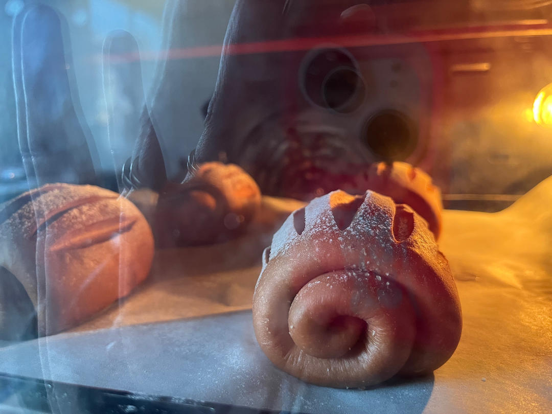 可可牛奶哈斯面包