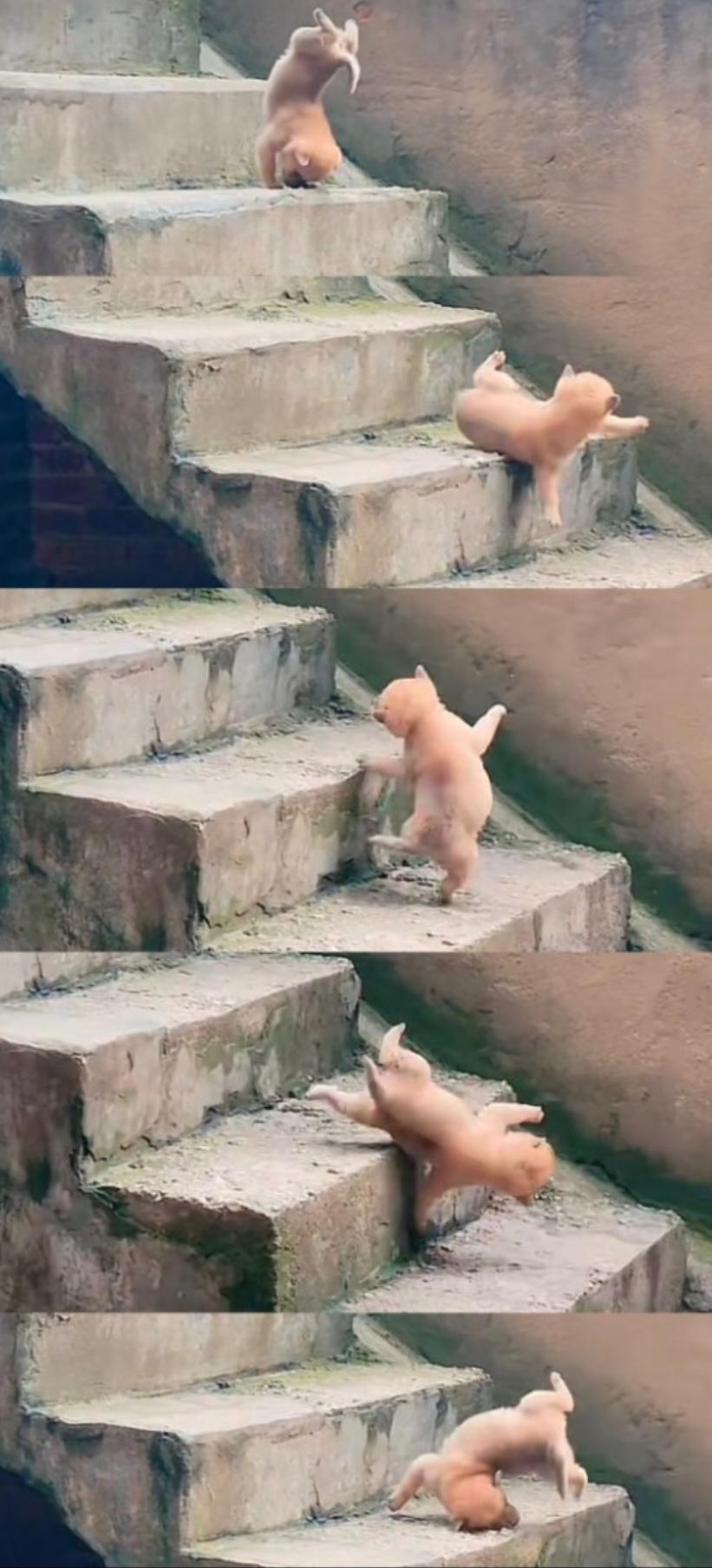 英杰呀