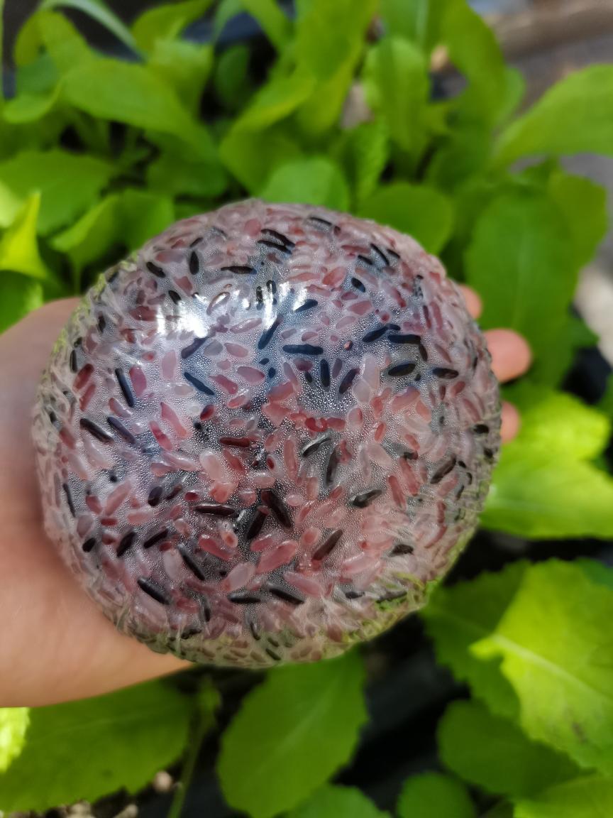 紫米粢饭团的做法