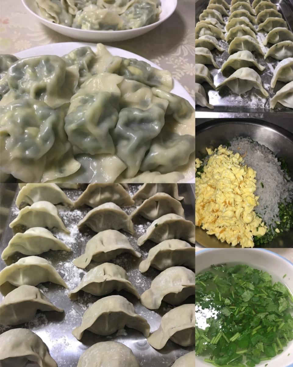 韭菜鸡蛋粉条水饺