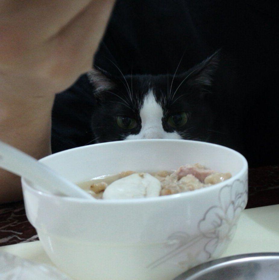 姬松茸花胶炖瘦肉