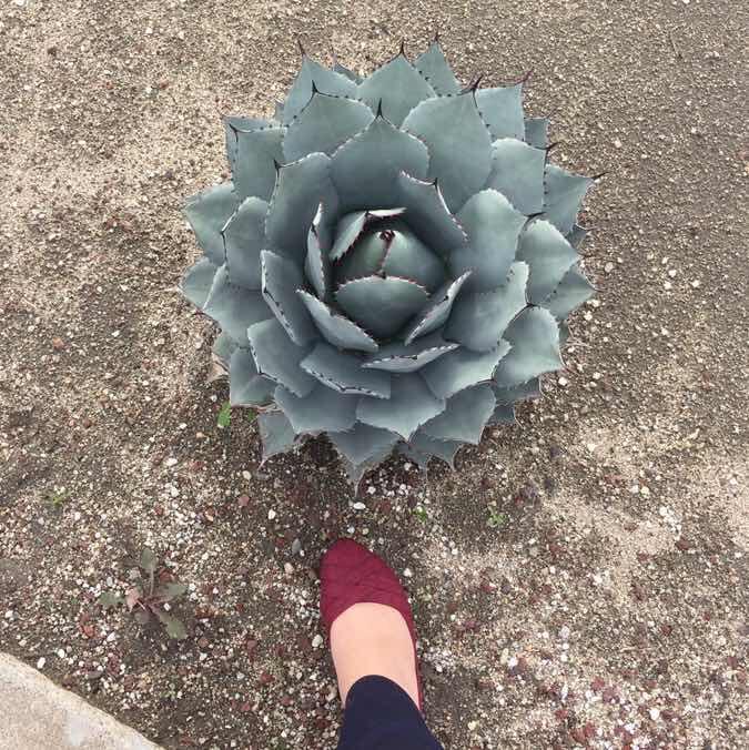 呆呆105