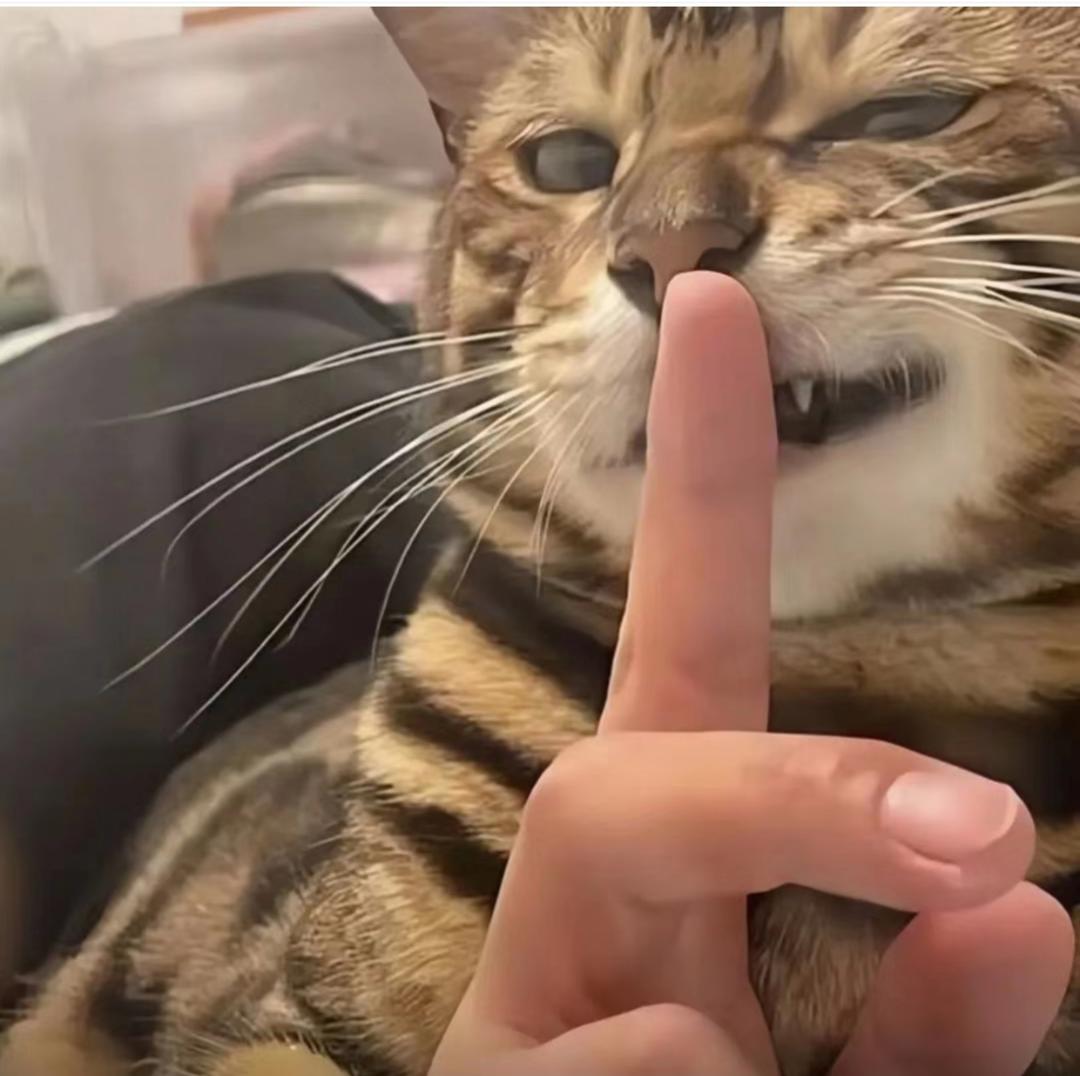 拈指光阴