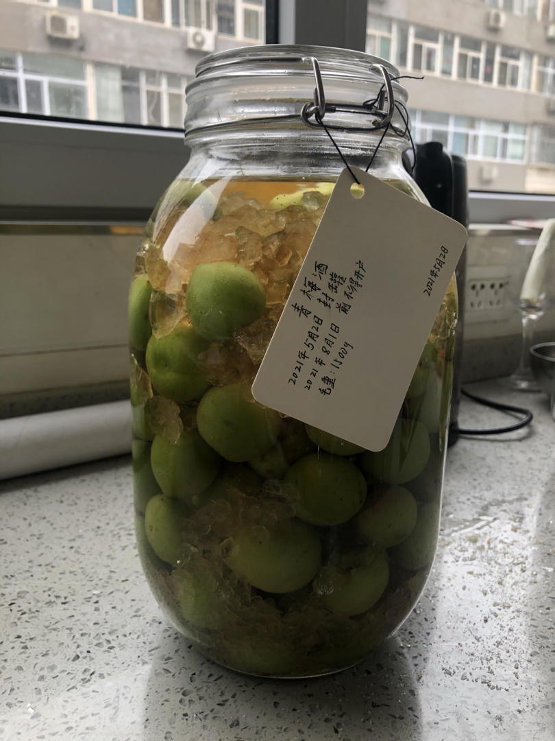 【青梅酒】梅子的沉醉时光（已填坑）