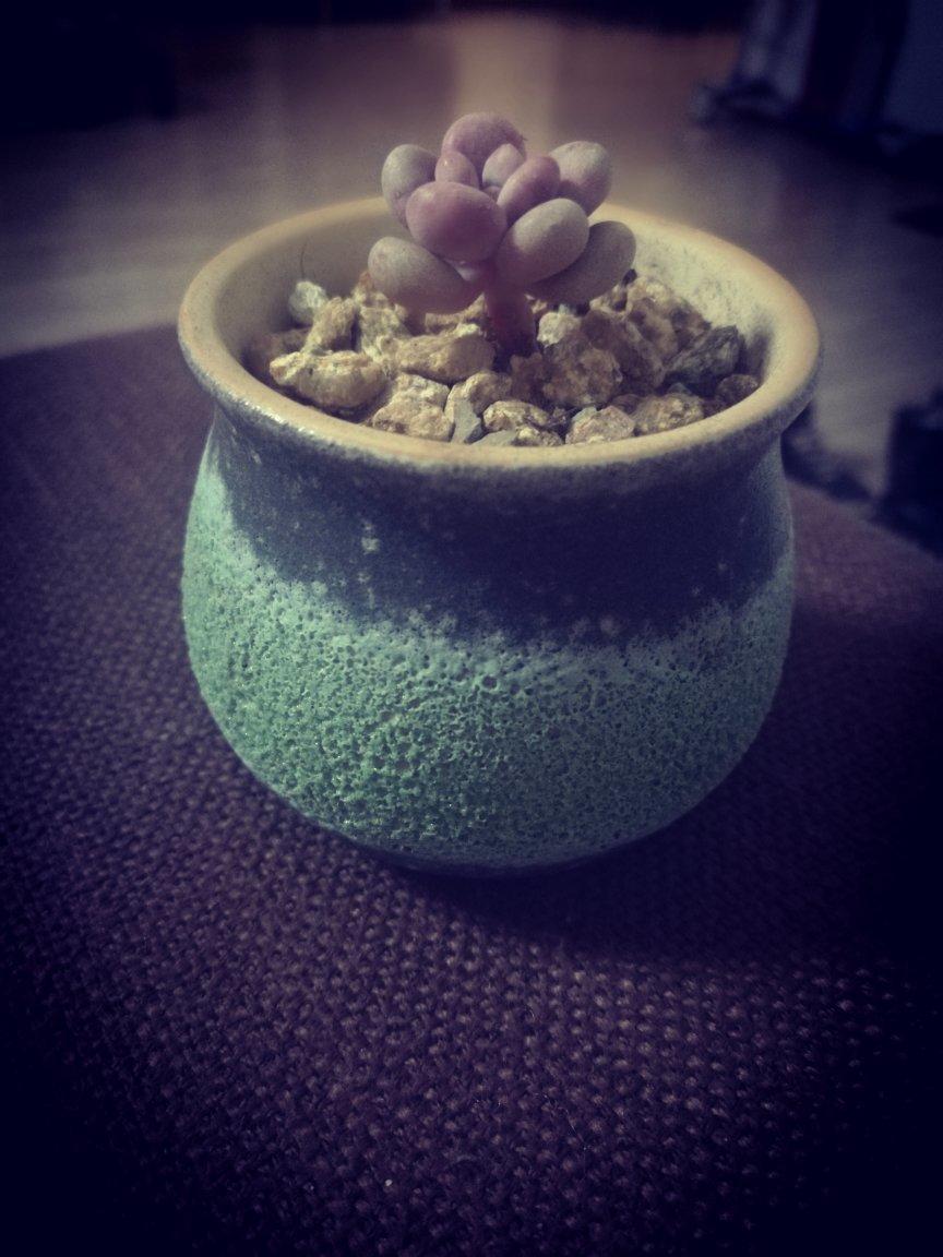 我心中收纳盒