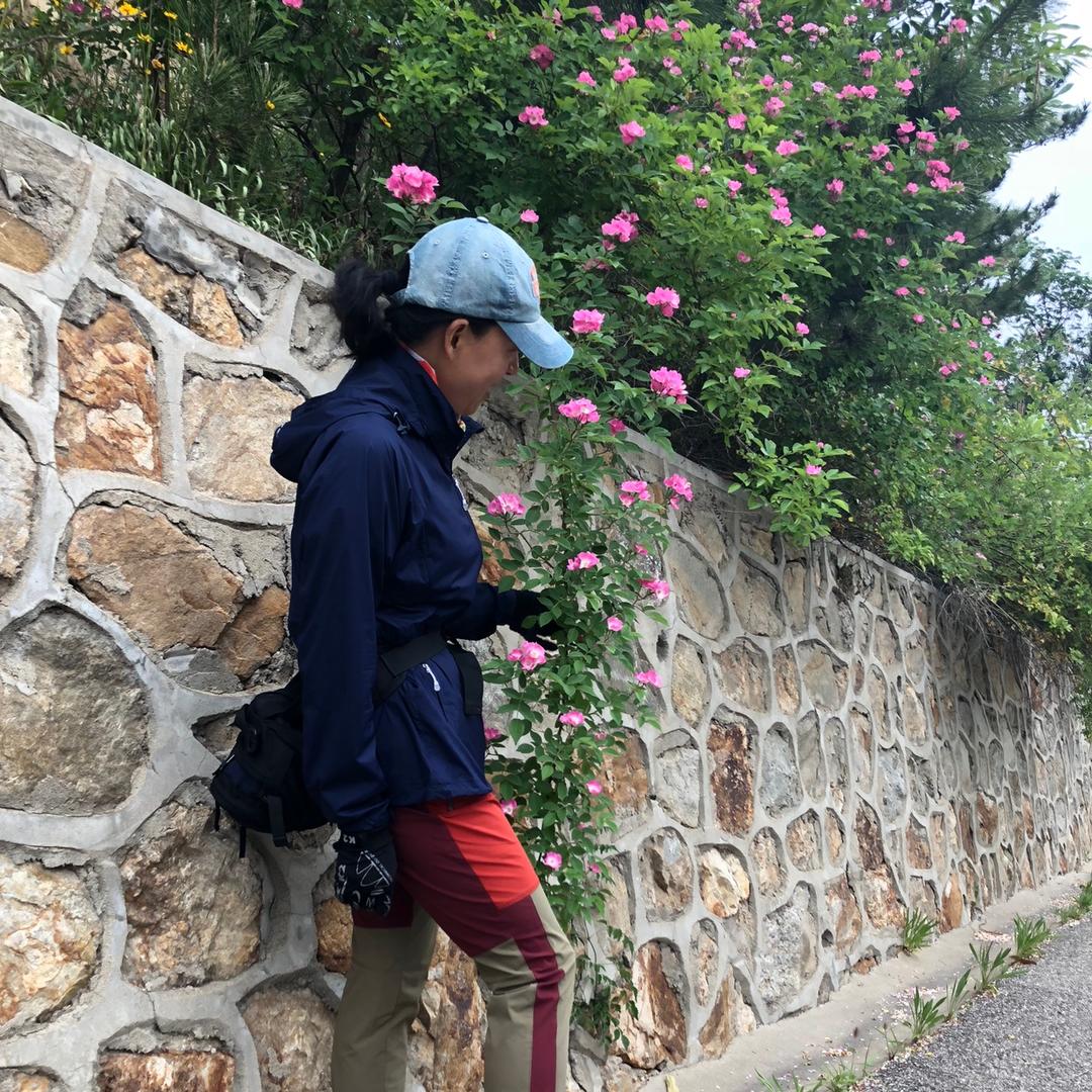 随风且住