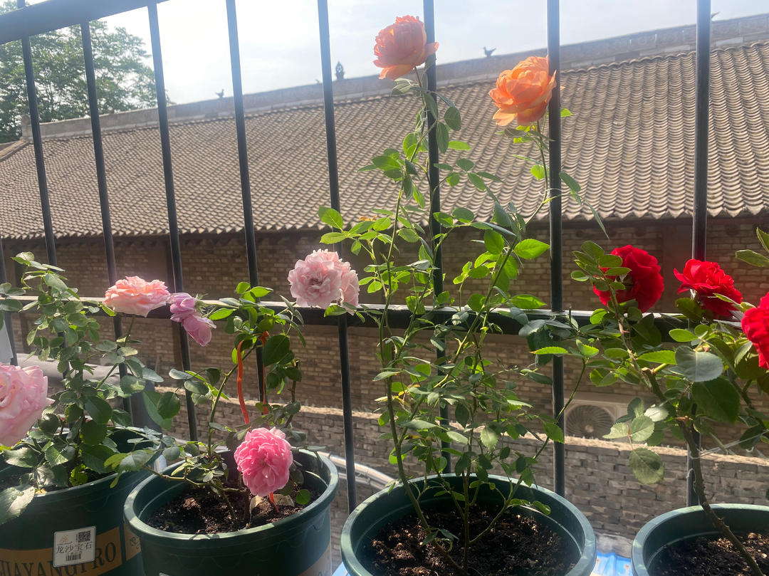 我轻轻的尝一口