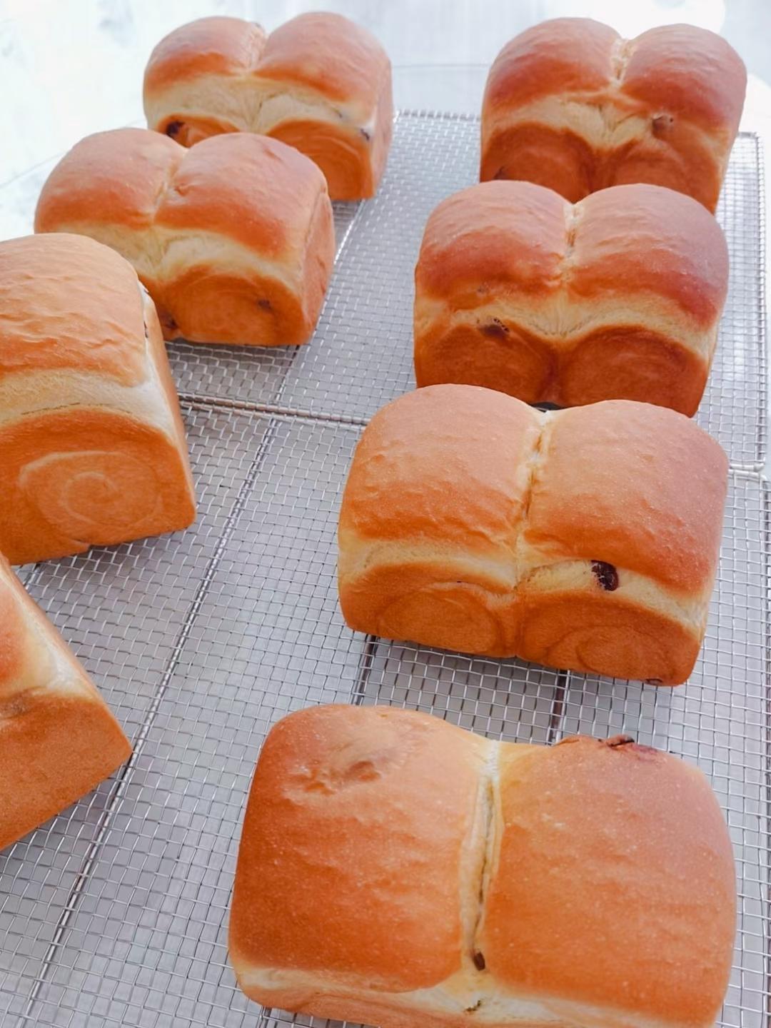 预祝冬安 明石克彦老师的提子吐司