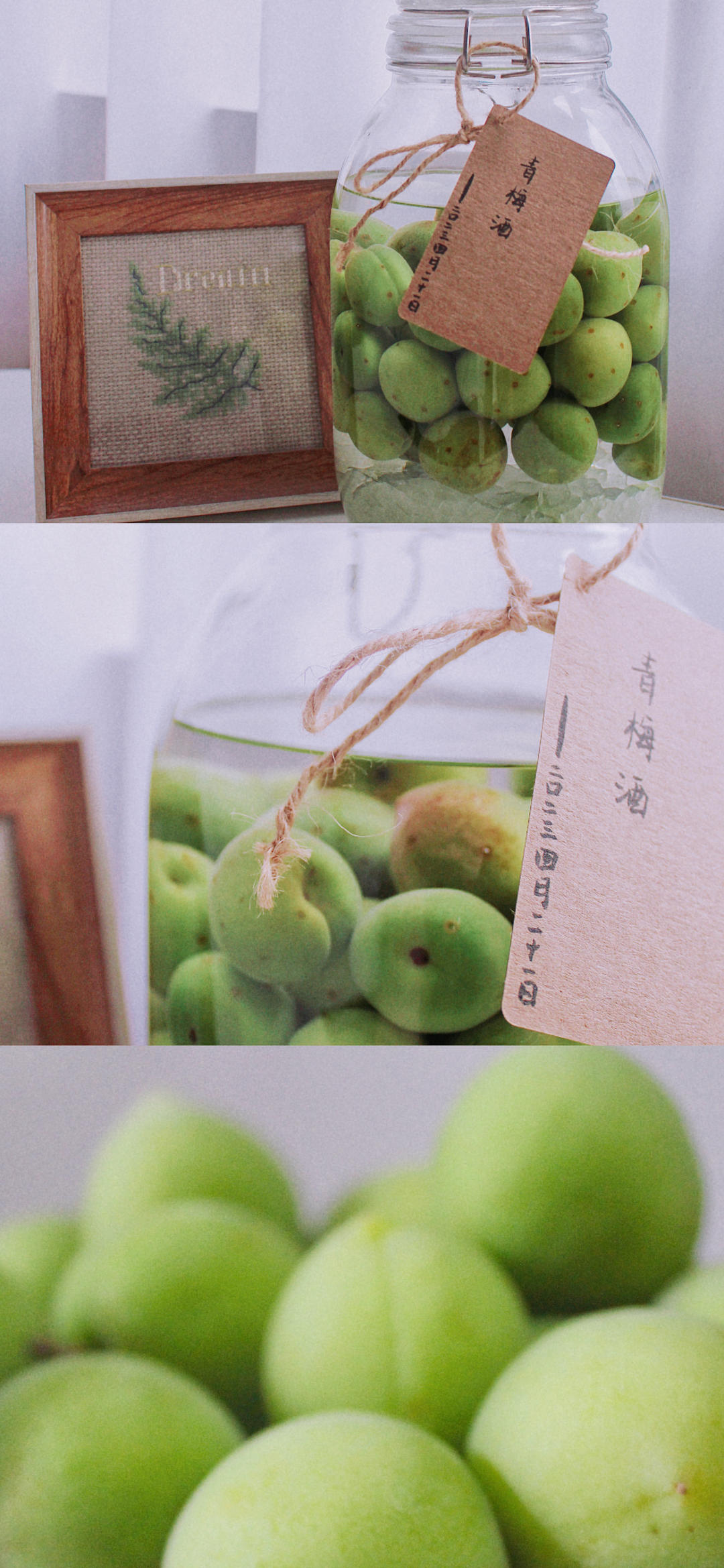 【青梅酒】梅子的沉醉时光（已填坑）