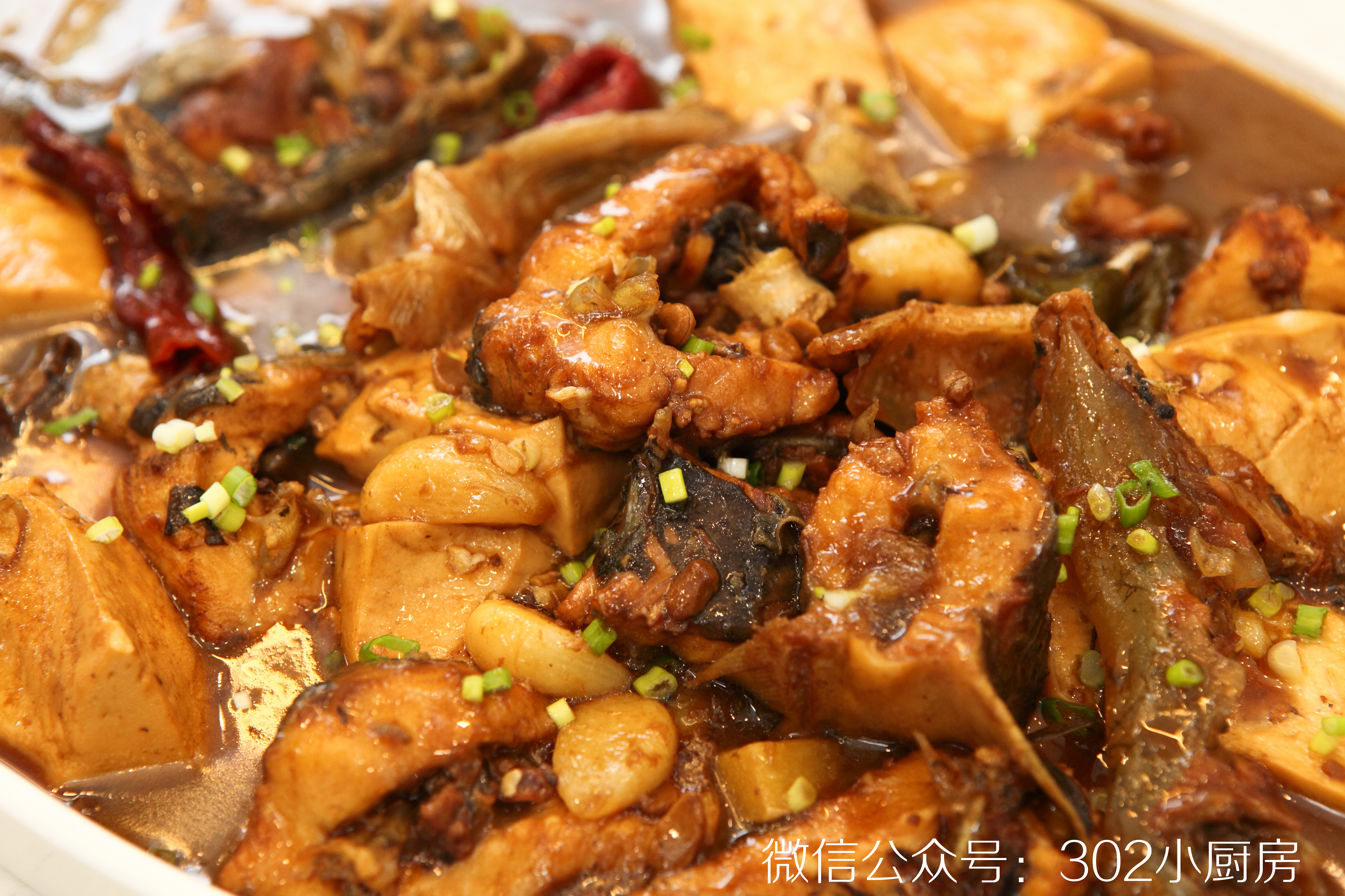 豆腐烧鲟鱼（人工养殖合法食用） <302小厨房>