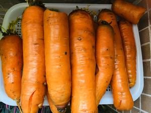 保鲜1个月的胡萝卜保存方法的做法 步骤1