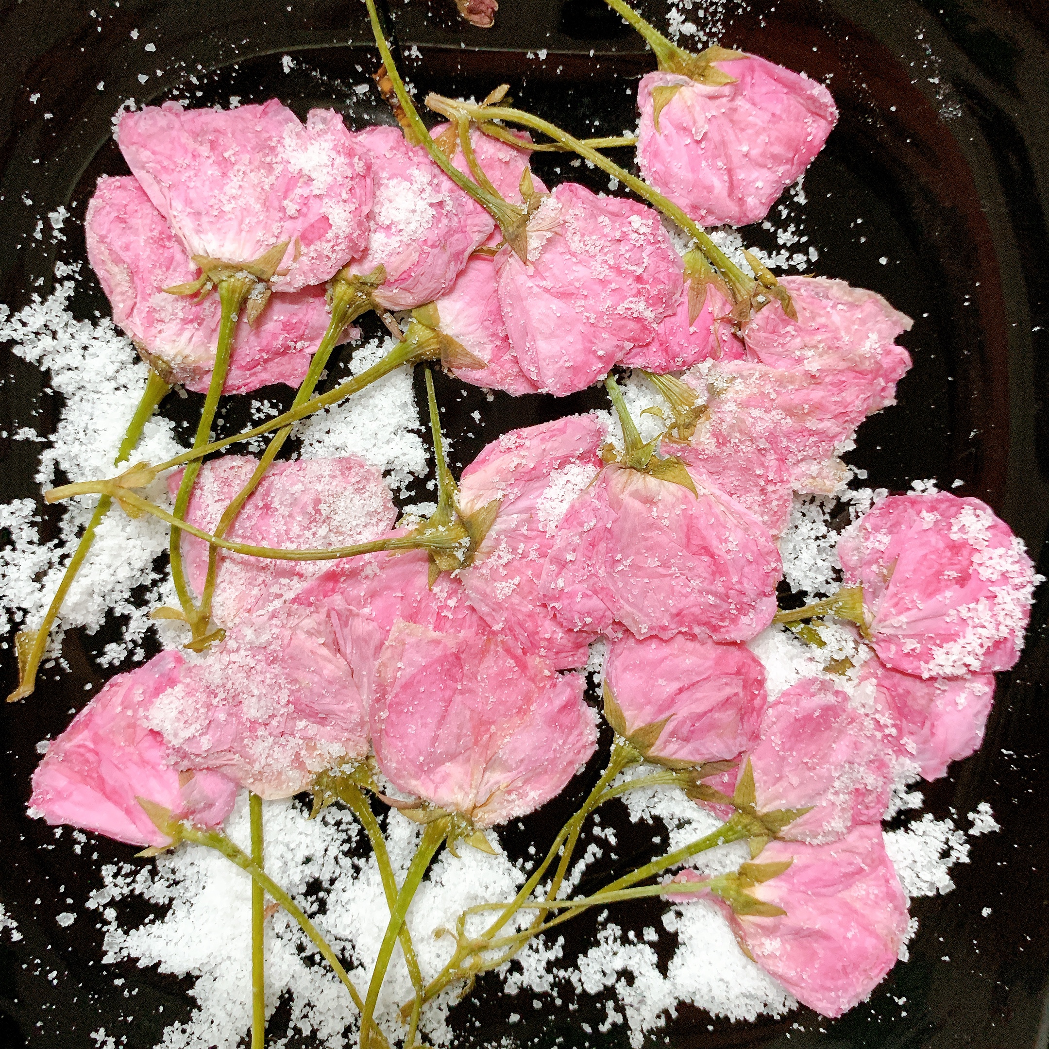 🌸春天的粉嫩-盐渍樱花&樱花酱的做法