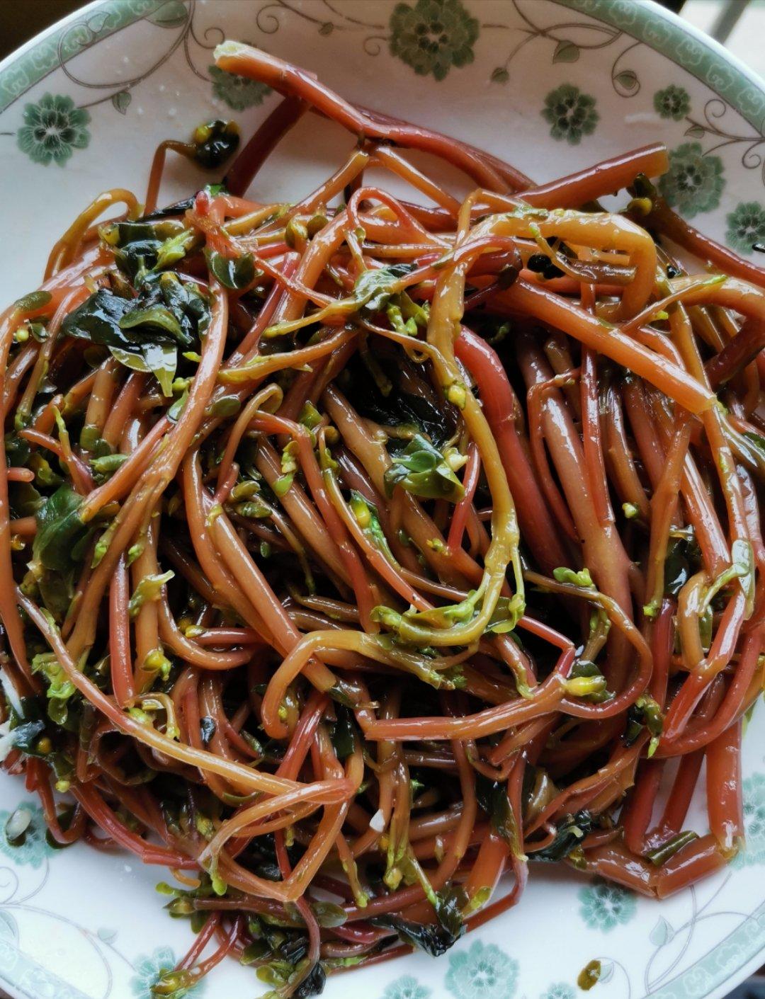 凉拌马齿笕