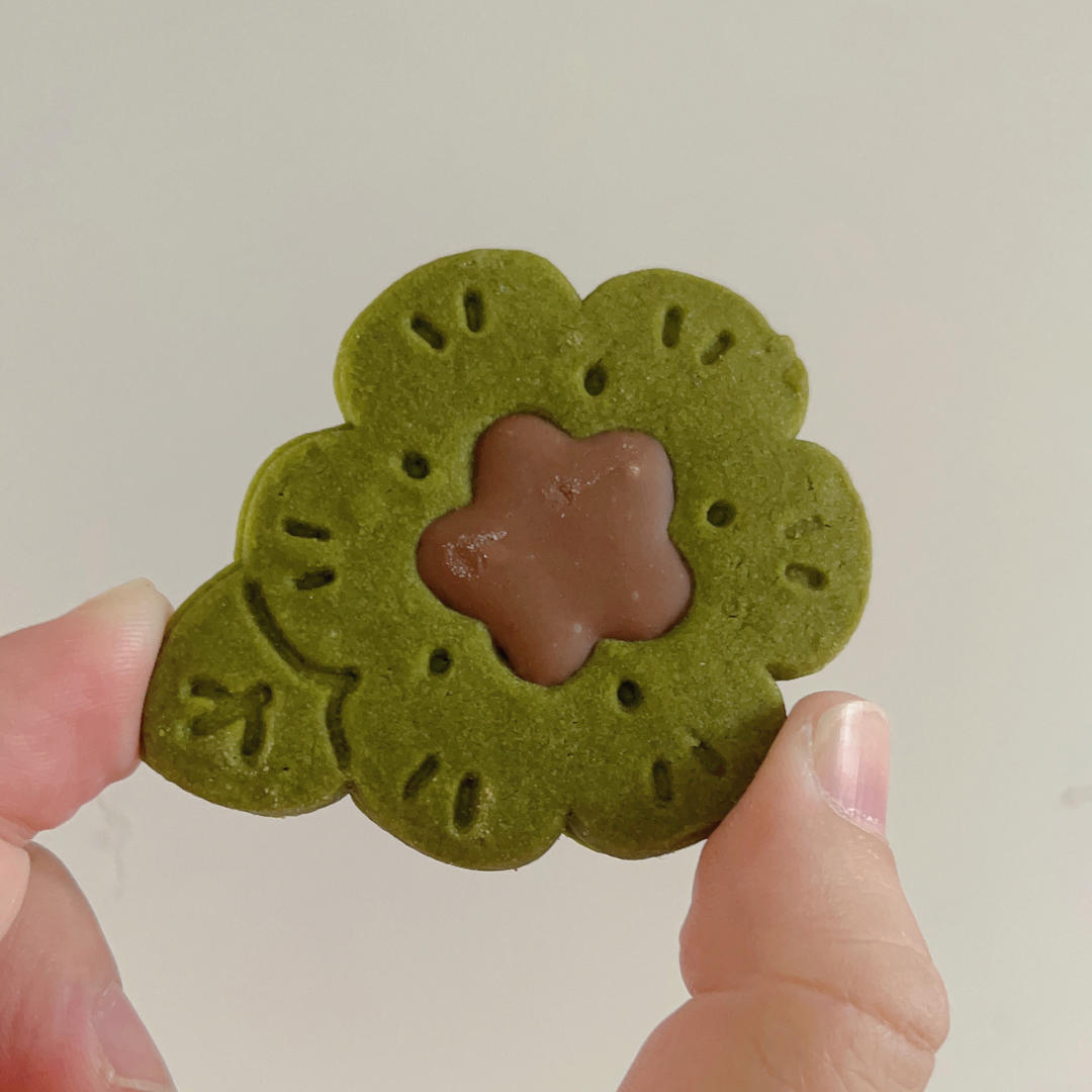 四色cotta花儿饼干