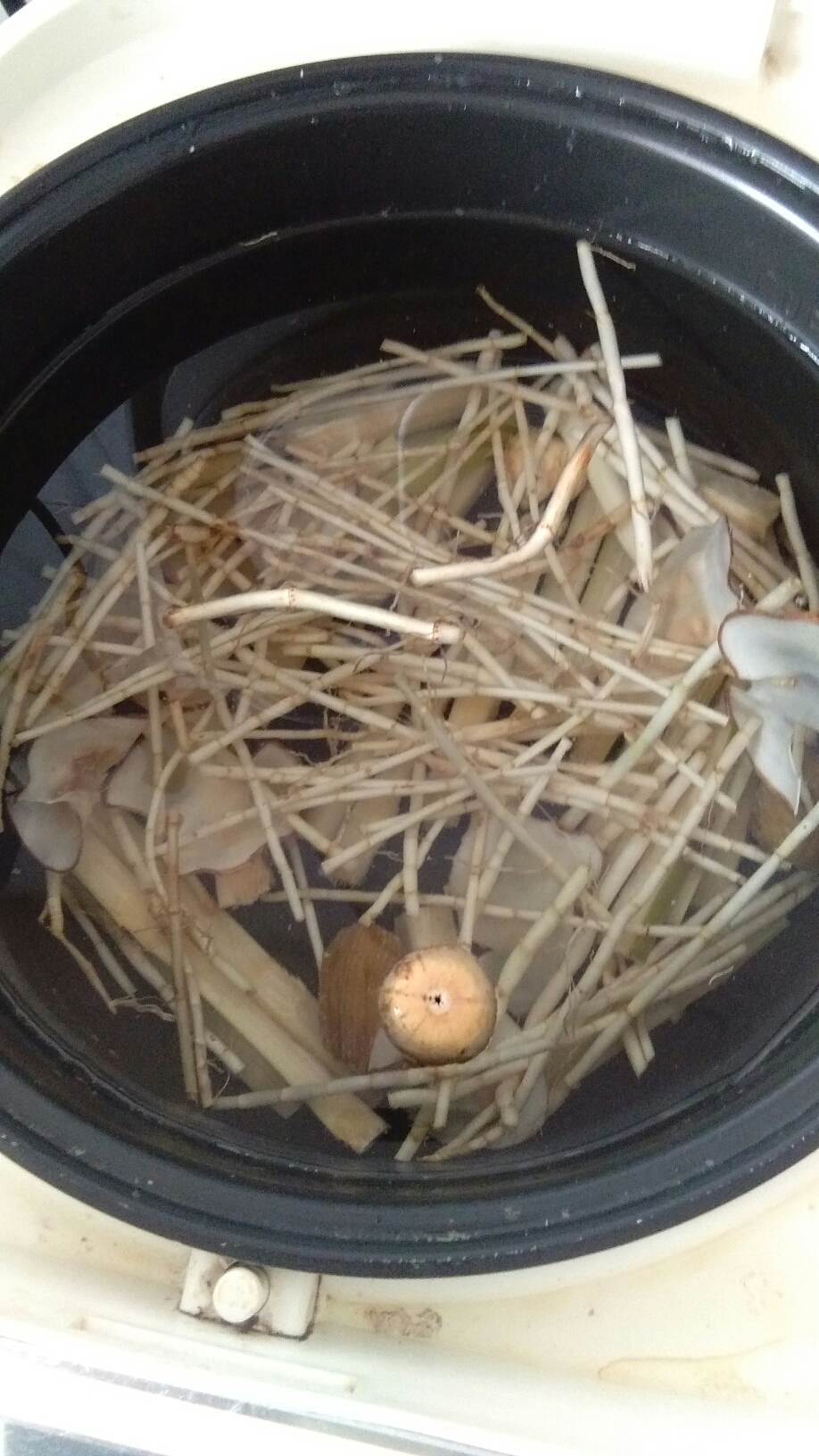 竹蔗茅根水的做法 步骤1