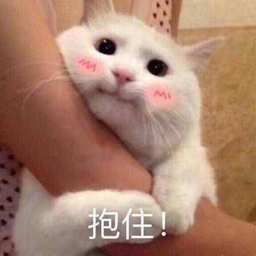 章雪小丸子-o-