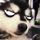 醒醒一直睡不醒