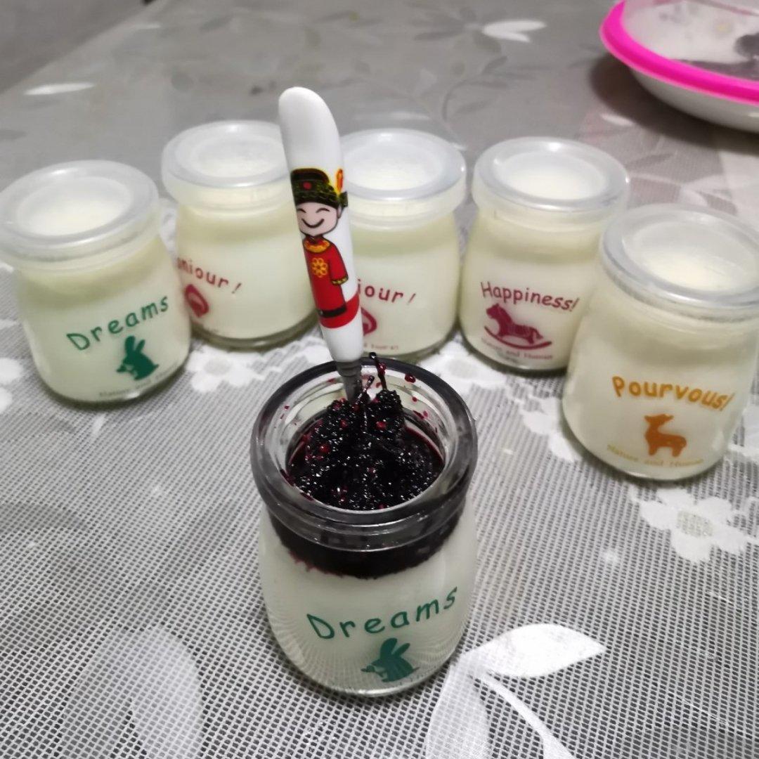奶粉和酸奶机自制酸奶