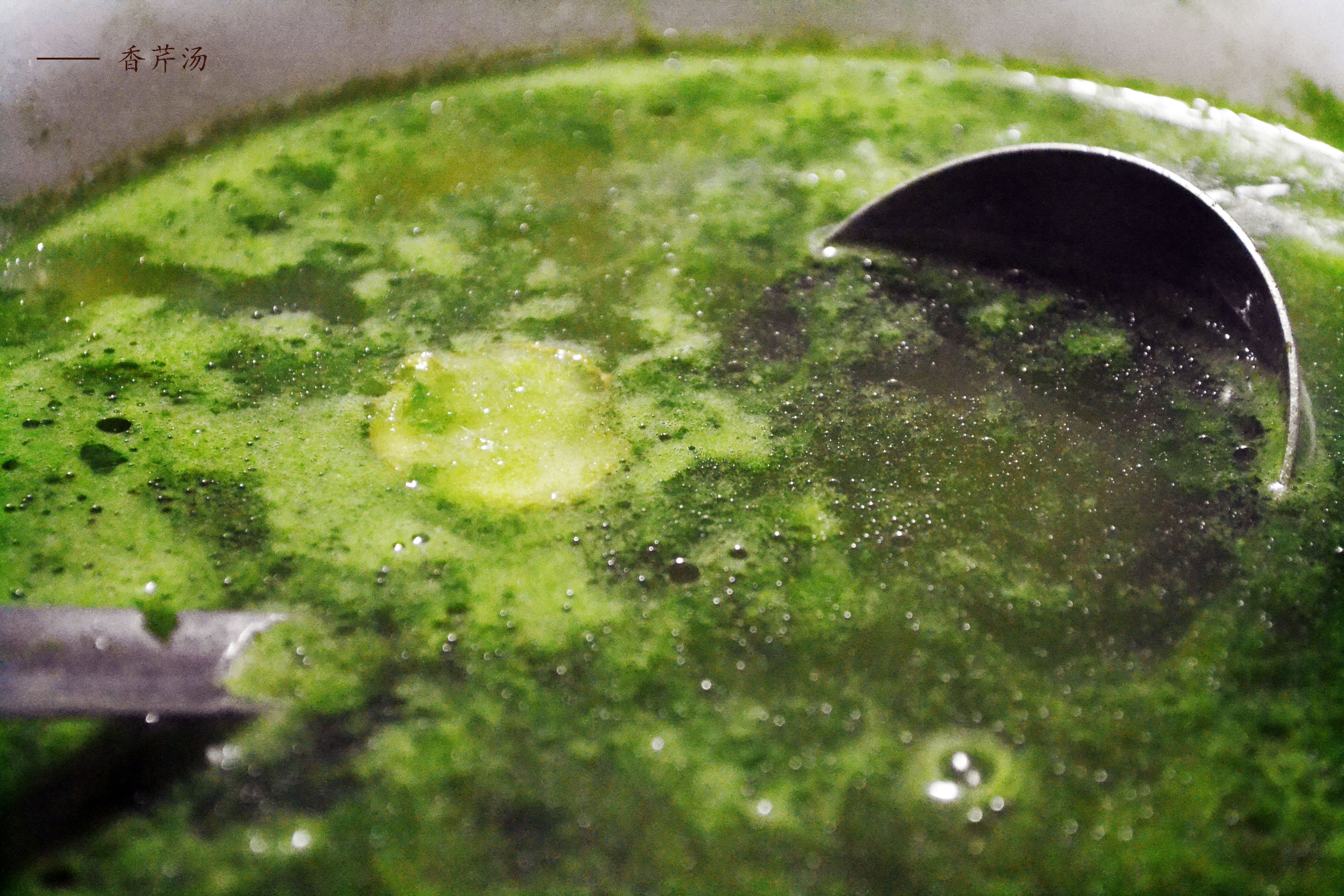 石磨芹菜汤的做法