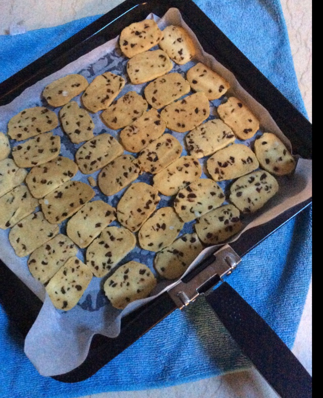 蔓越莓饼干 蔓越莓曲奇