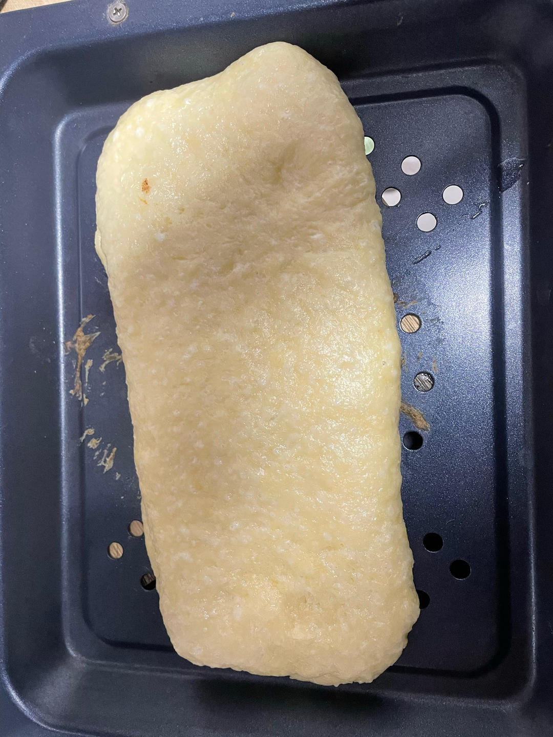 酵母版奶香司康