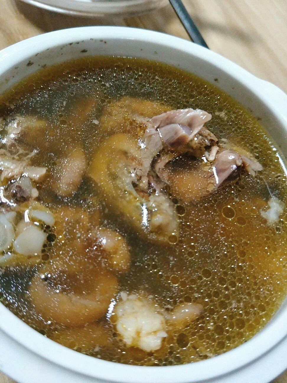 金猫咪食堂-滋补乳鸽汤