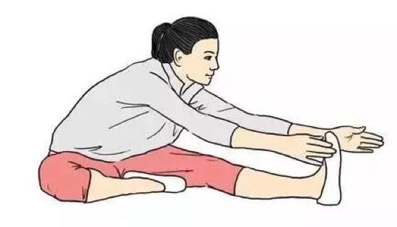 上汤丝瓜
