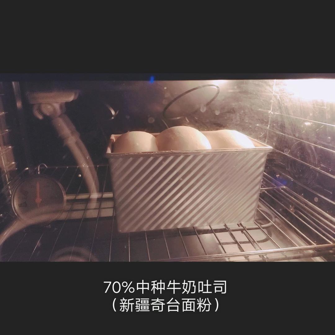 70%中种牛奶吐司