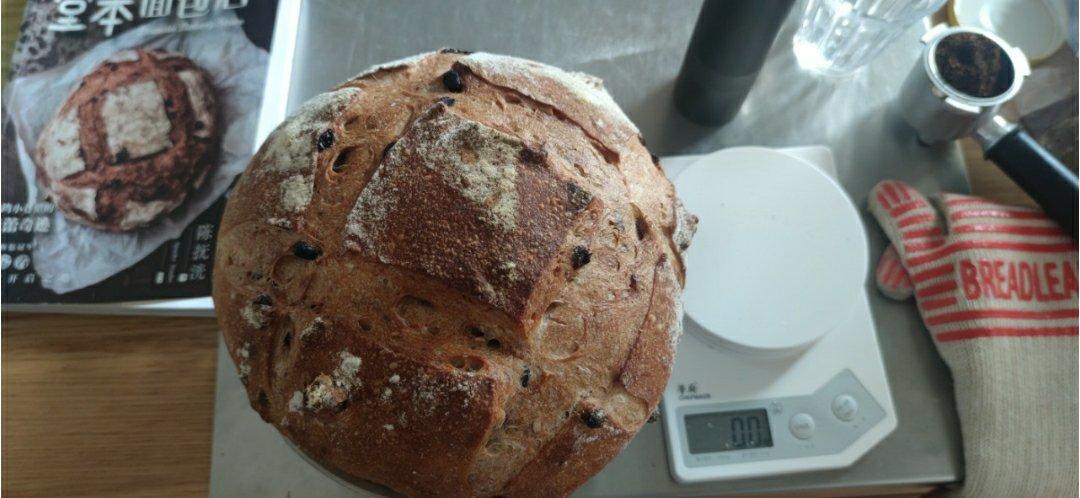 红酒葡萄大面包(堂本面包)