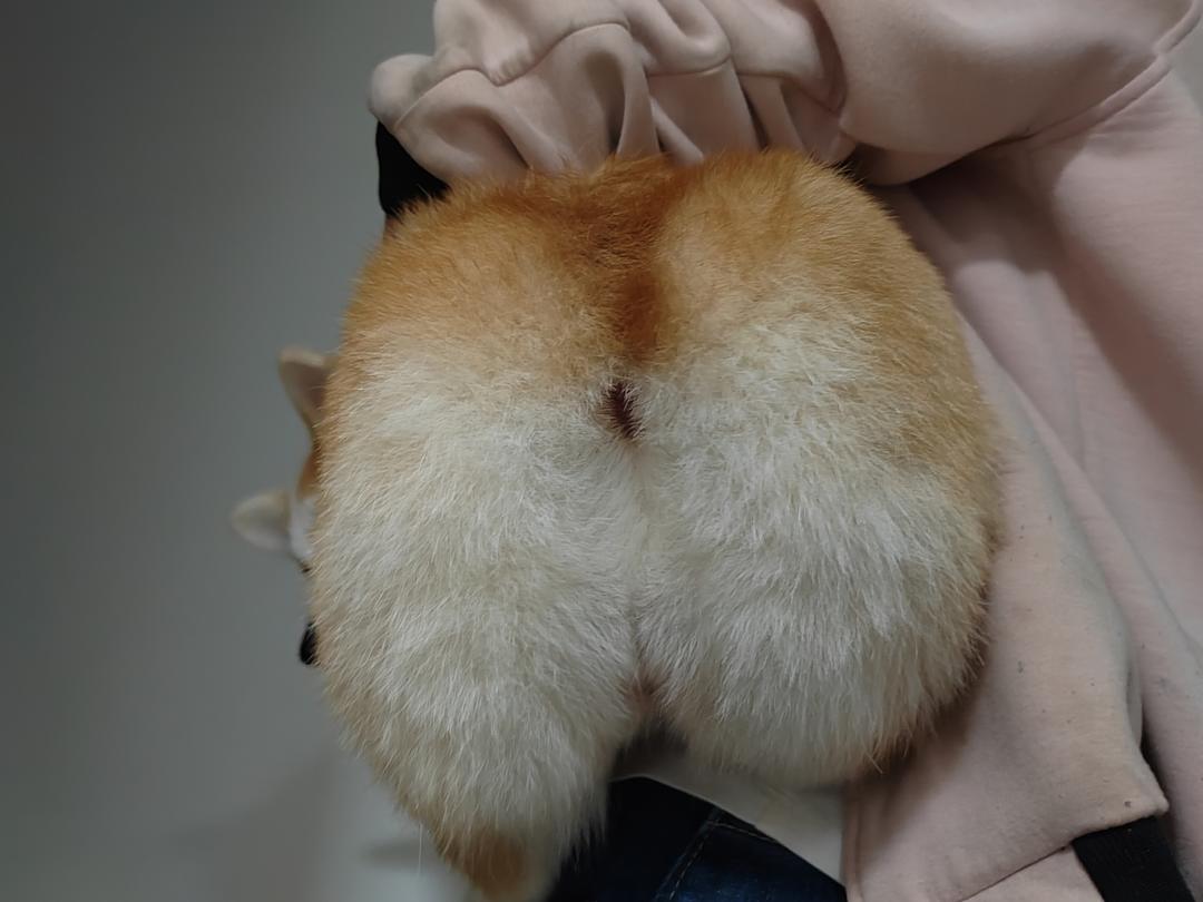 水溶c  还原配方