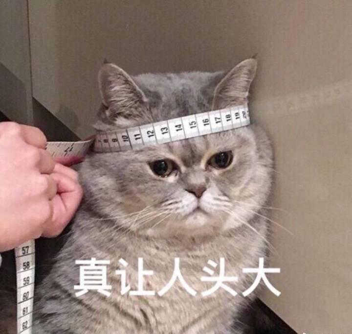 蚝油杏鲍菇