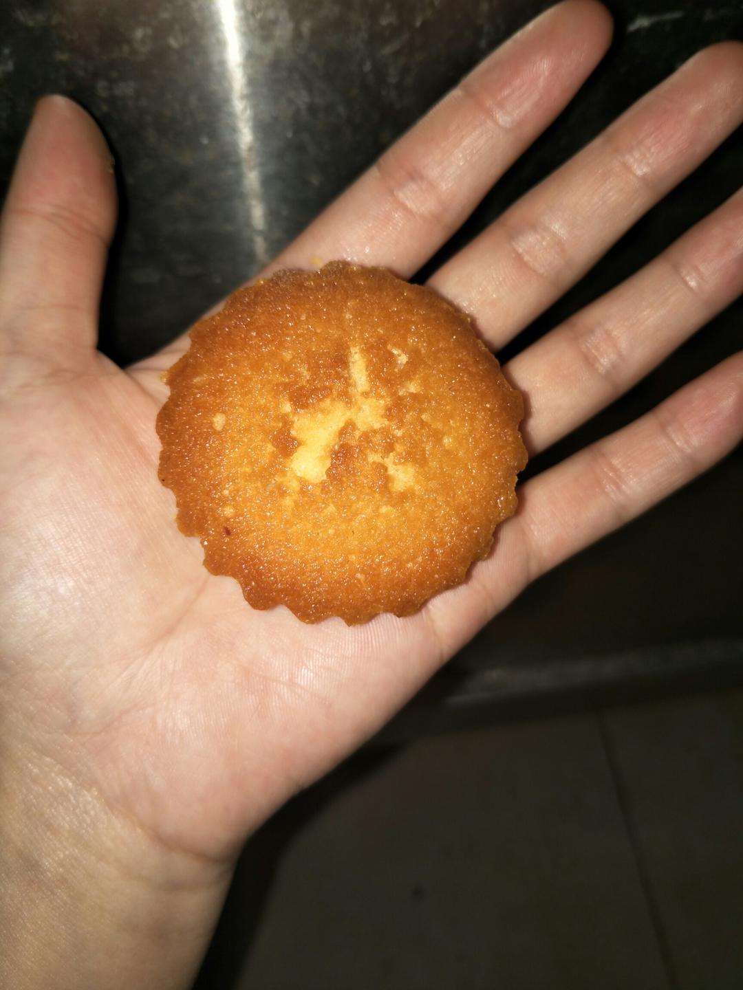玛德琳（蓝带方）