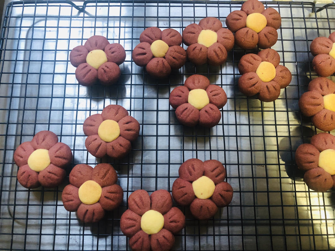 送你一朵小红花 🌺免模具｜零难度花朵饼干