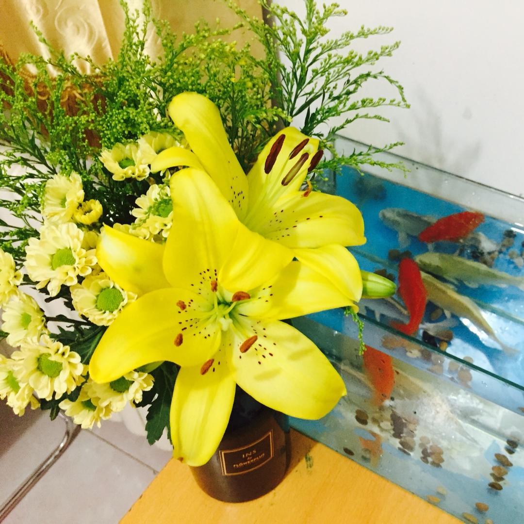 水獭kk