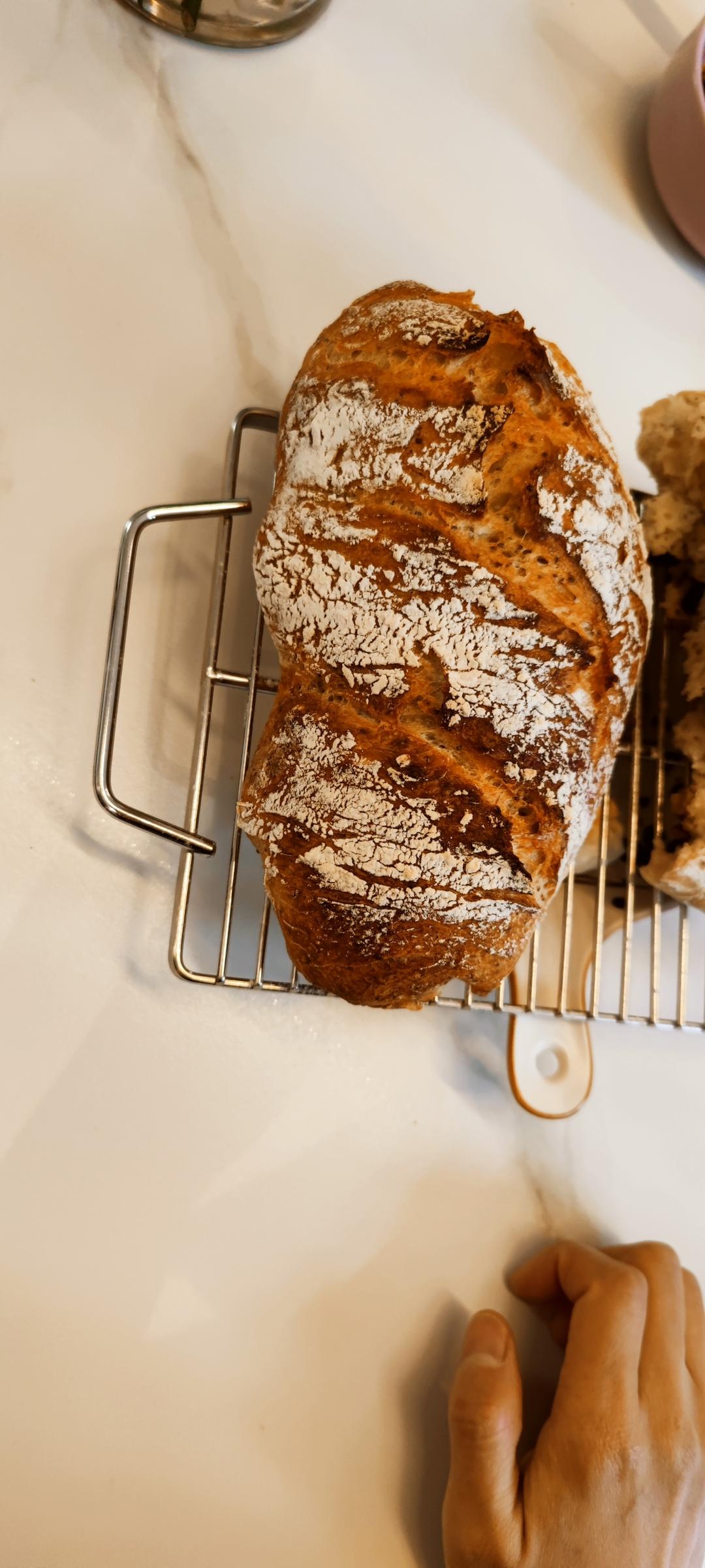 最简单的欧包发面法·只需5分钟搅一搅❗️真不揉面