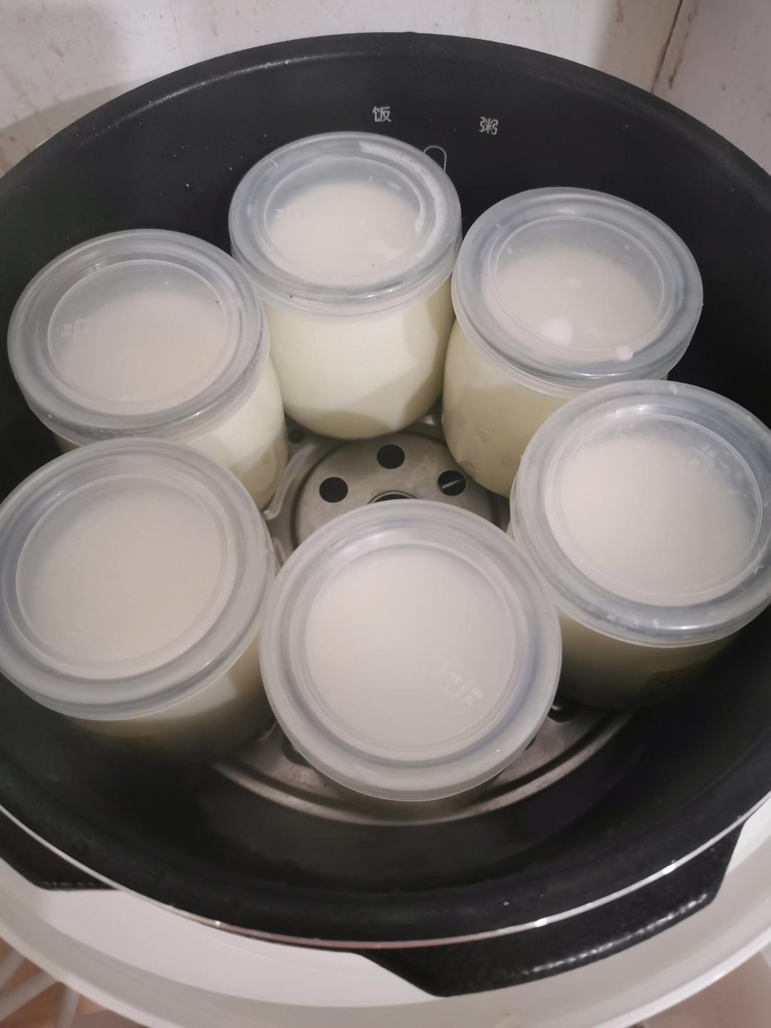 仅用牛奶+不插电电饭煲的自制酸奶！