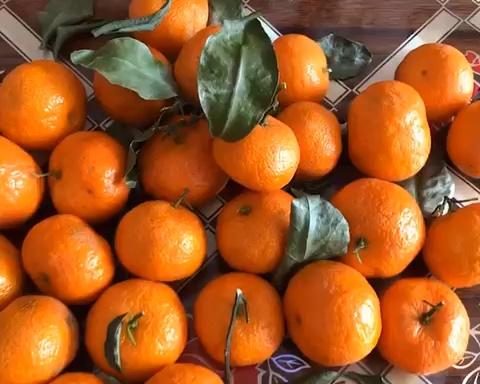 止咳化痰和胃润肺的砂糖橘罐头