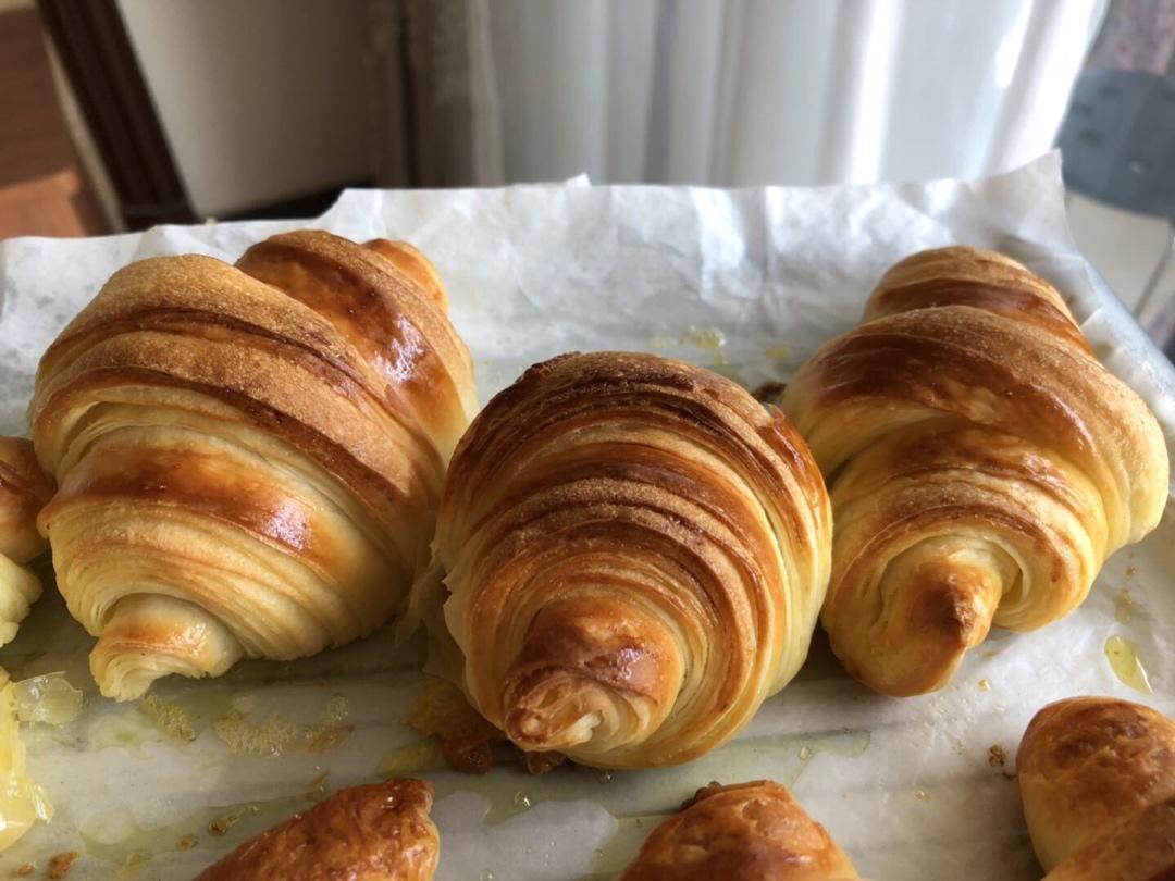 《Tinrry+》可颂（帅帅小厨）