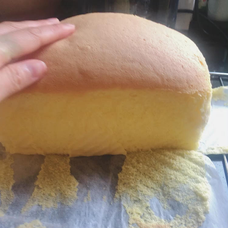 抖臀软嫩古早蛋糕🍰