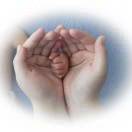 我爱烘焙小零食