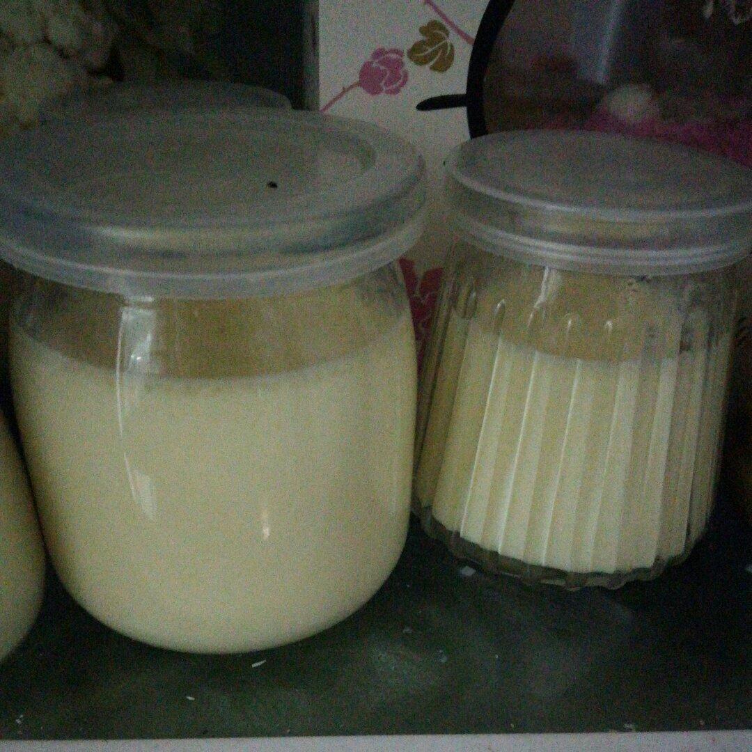 【君酱食谱】0失败 鸡蛋布丁(巨简单版)🍮🍮