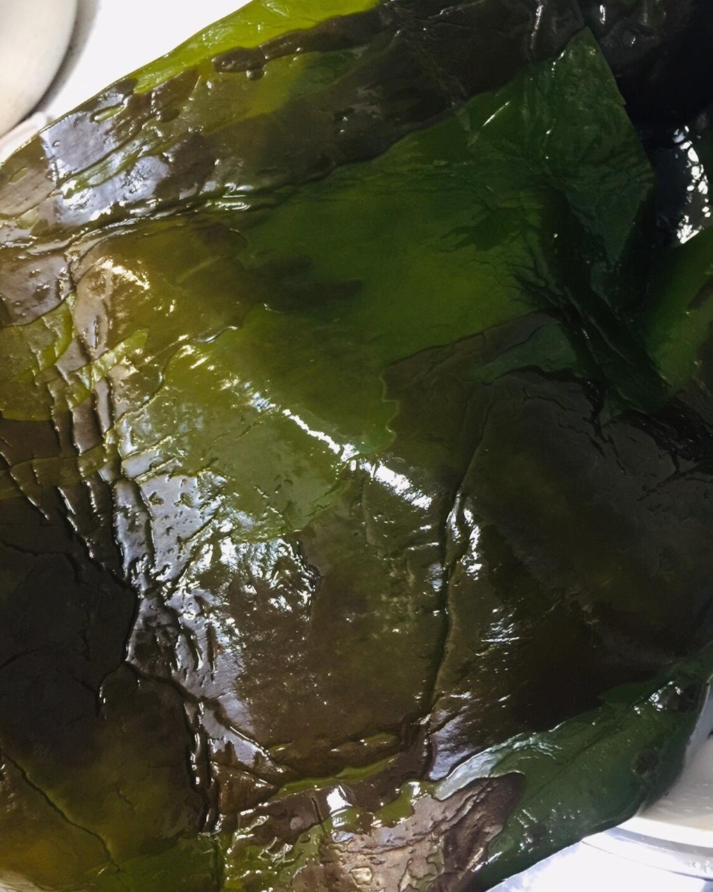 森野星踪的评价图片